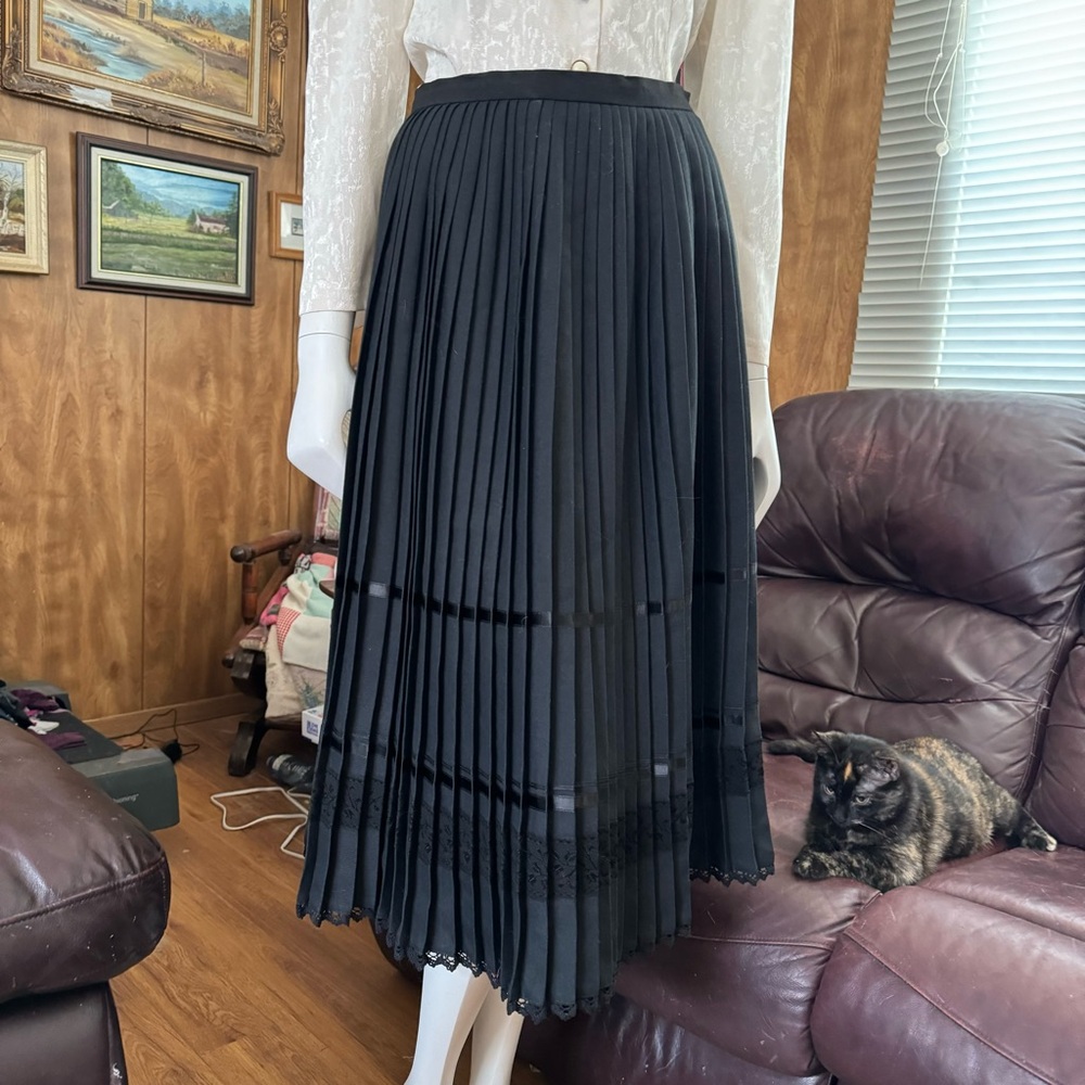 The Most Amazing Goth Victorian Vintage Pleated Skirt